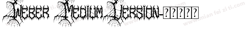 Weber MediumVersion字体转换
